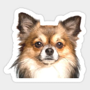 Chihuahua Portrait Sticker